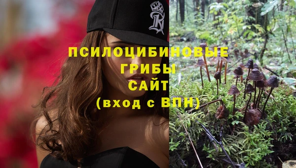 герыч Абинск