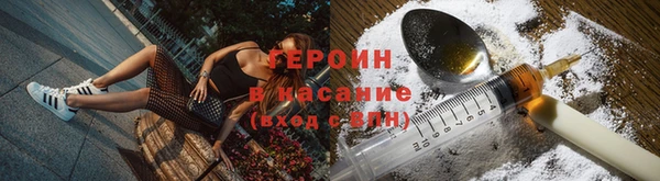 прущие грибы Алексеевка