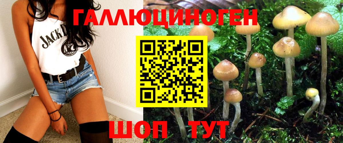 Галлюциногенные грибы Magic Shrooms Новочебоксарск